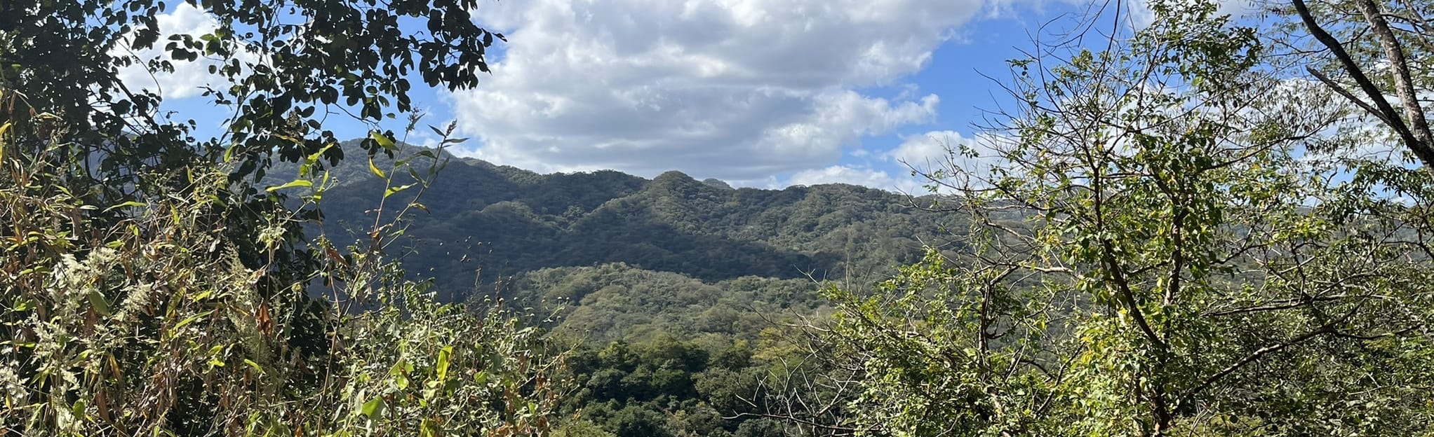Diriá Nationalpark: Besucherführer, Fauna, Flora Und Aktivitäten – ZKRJU