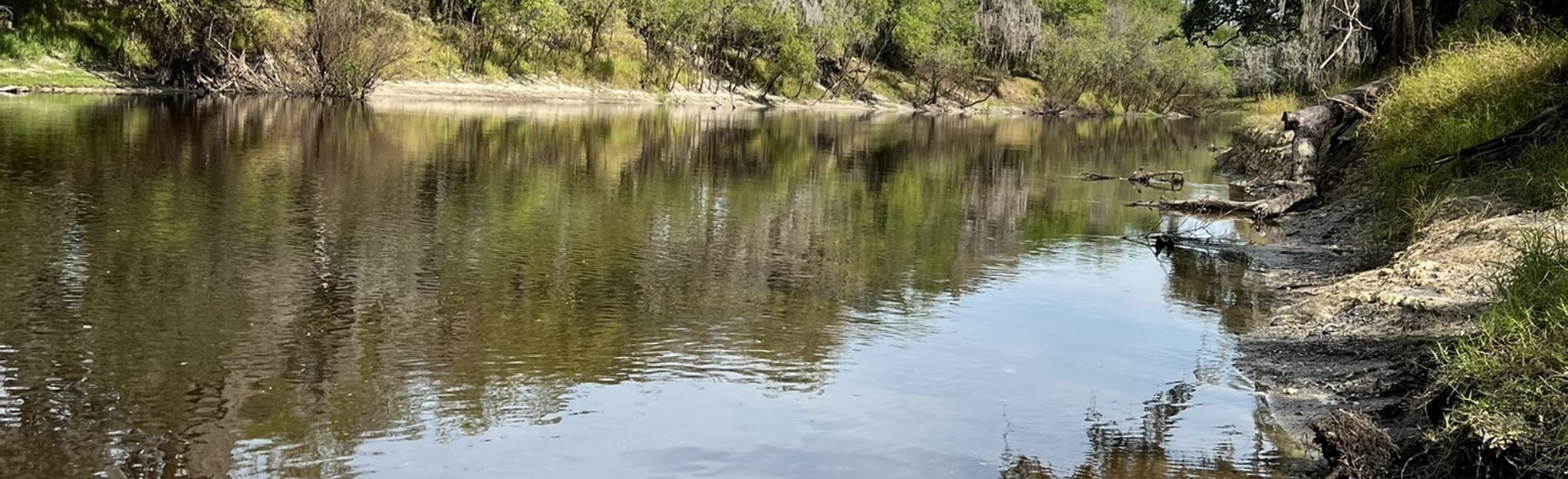 Peace River Canoe Route 19 Reviews, Map Florida AllTrails