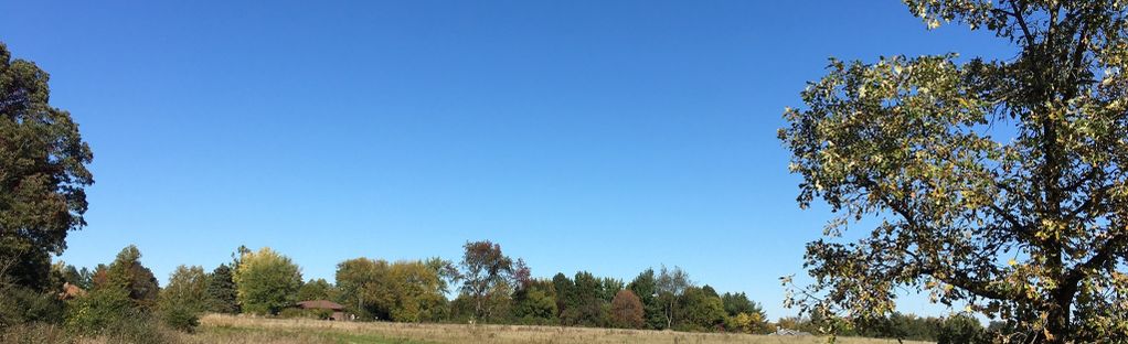 Bluff Spring Fen - Forest Preserves of Cook County