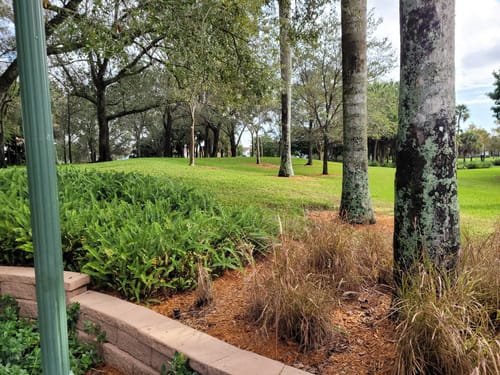 Best Hikes and Trails in Peace Mound Park | AllTrails