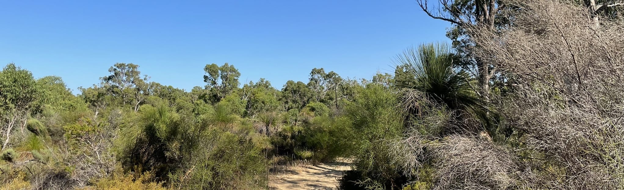 Yanchep Caves Walk 88 Reviews, Map Western Australia, Australia AllTrails