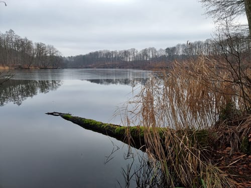 Von Lobetal um den Hellsee