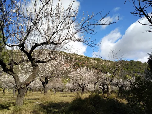 Los 10 mejores senderos y rutas en Parque Natural del Desierto de las