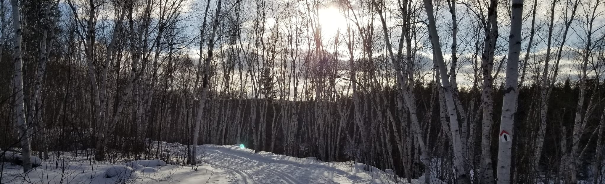 Capreol Club 5km Loop 10 Reviews, Map Ontario, Canada AllTrails