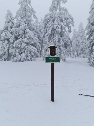 Über den Rennsteig zum Schneekopf