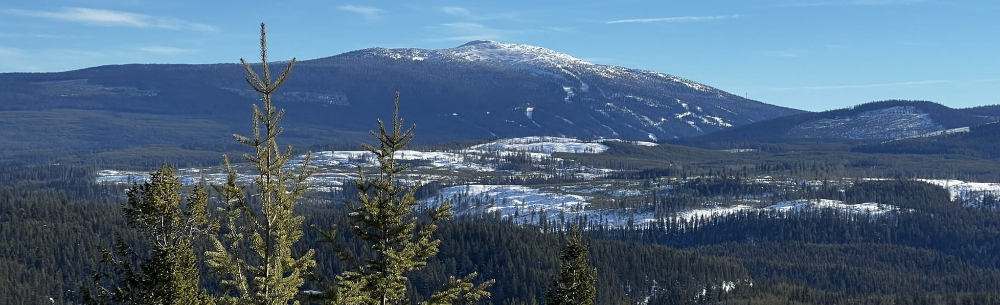 Thunder Mountain Lookout via Snow View Loop 17 Reviews, Map British