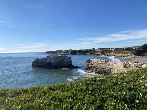 🇺🇸A SUMMER DAY AT SANTA CRUZ BEACH, CALIFORNIA - YouTube