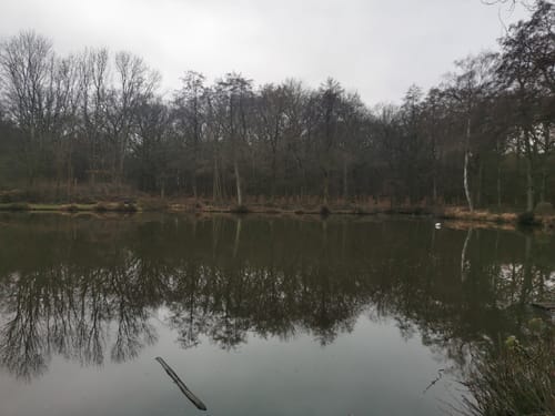 Grumbach ab Stahlquelle