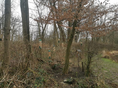 Grumbach ab Stahlquelle