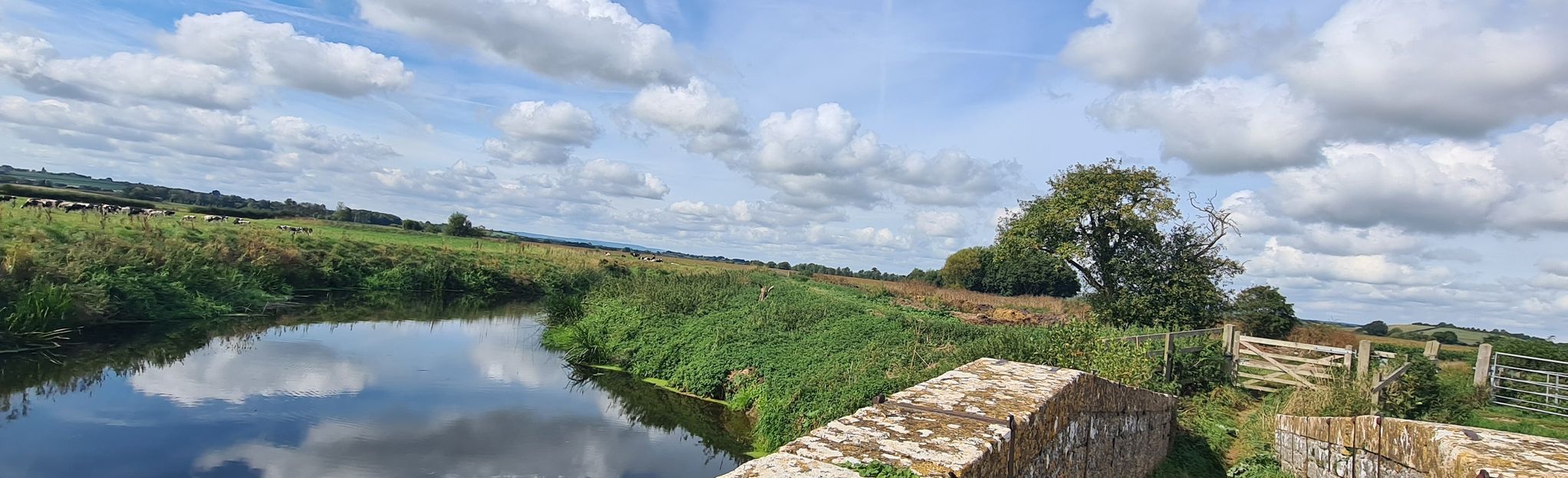 Ilchester And Pill Bridge Circular: 54 Fotos - Somerset, England ...