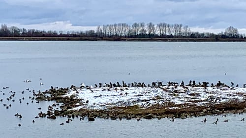 Neufinsing - Speichersee