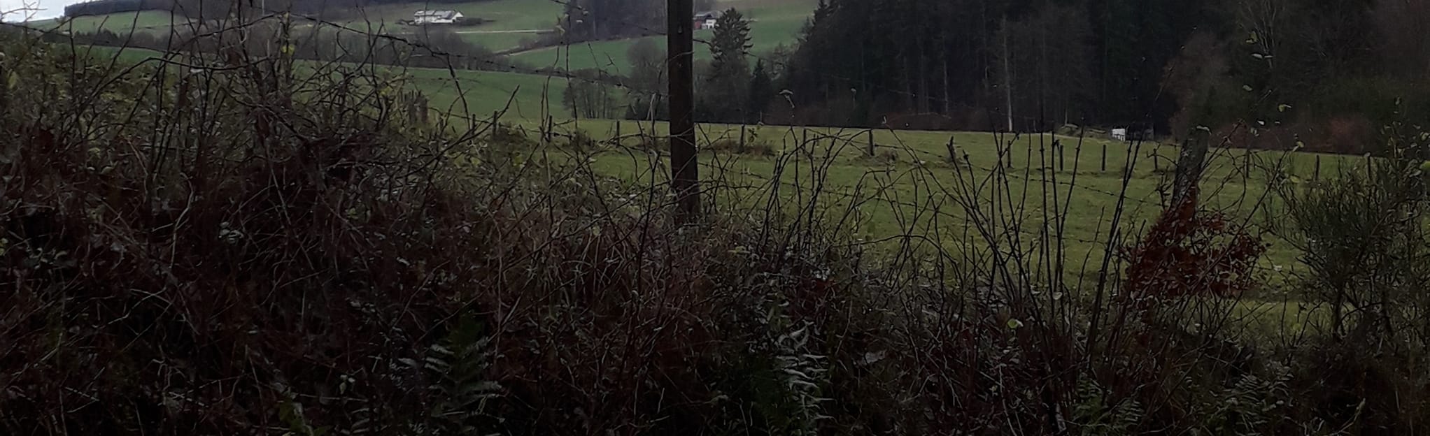 Eilscheid (Naturpark Südeifel Wanderweg Nr. 88), 3 Fotos Rhineland