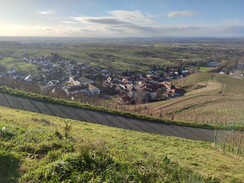 Neuweierweg zum Büchelberg