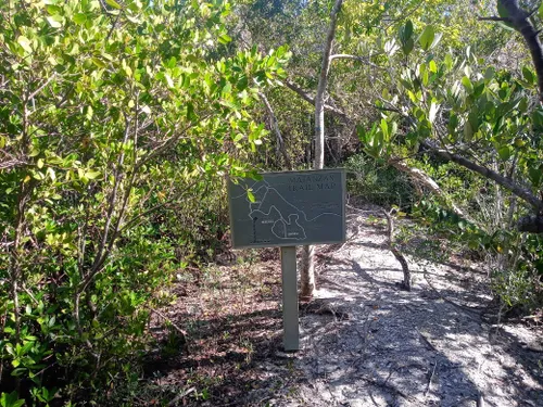 Best Hikes And Trails In Matanzas Pass Preserve Alltrails