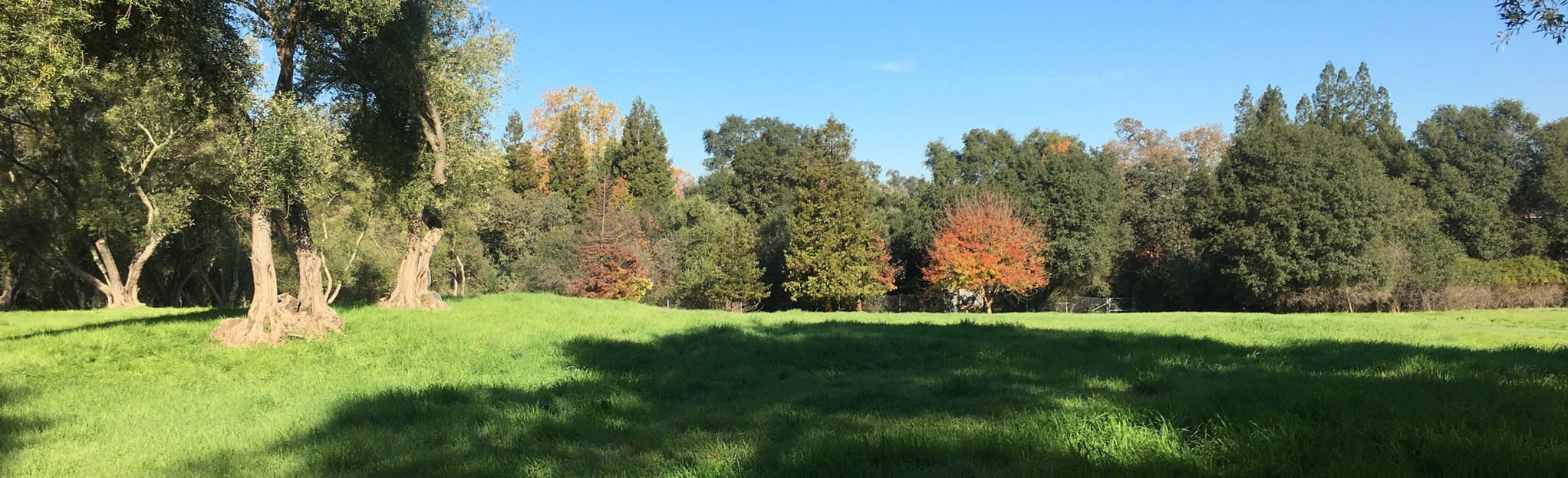 Jensen Botanical Garden, California 67 Reviews, Map AllTrails