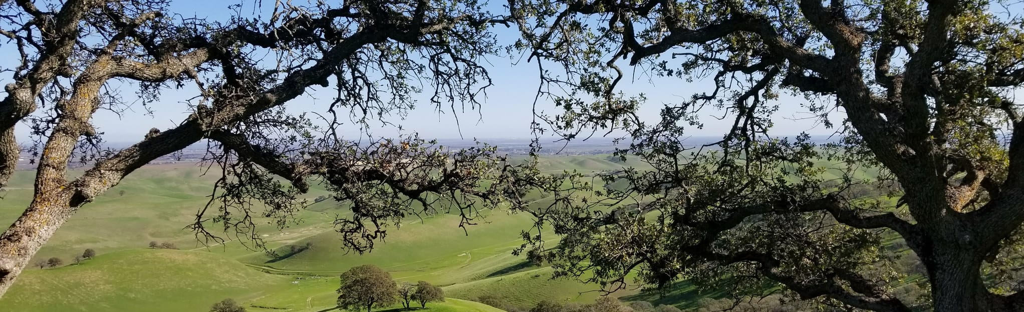 Eagle Ridge from Kellogg Creek Recreation Area, California - 53 Reviews ...