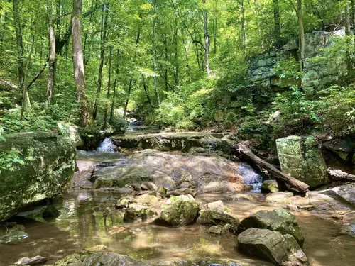 10 Best Trails And Hikes In Chattanooga 