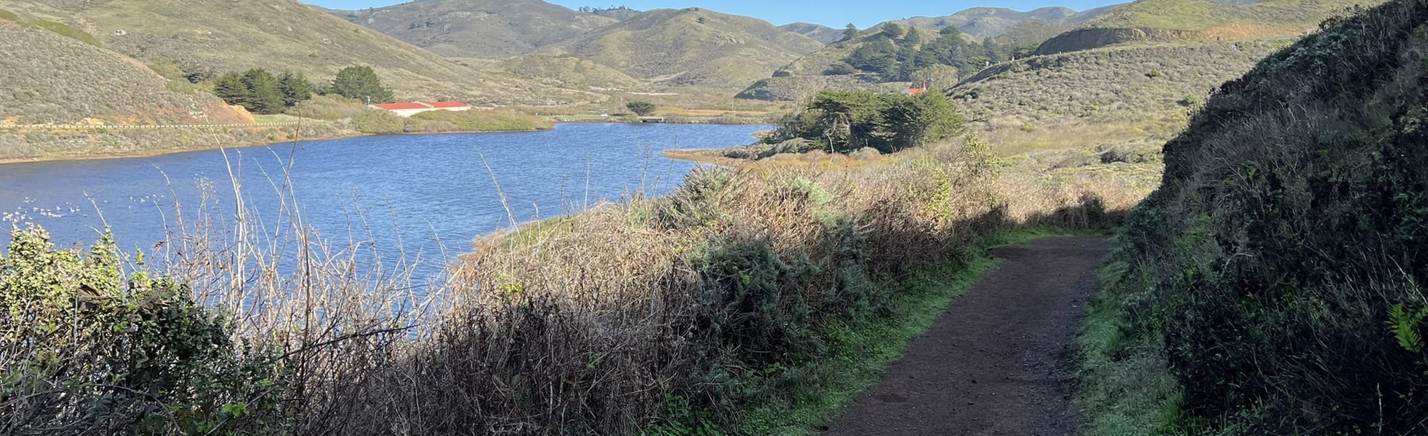 Marin Headlands Rodeo Lagoon Trail - EyJidWNrZXQiOiJhc3NldHMuYWxsdHJhaWxzLmNvbSIsImtleSI6InVwbG9hZHMvcGhvdG8vaW1hZ2UvNDMwMjYzNTUvYjRhZWI4OWNhNzAxZjFlOWQ5ZmJkNjgzOTNjMjVjOWMuanBnIiwiZWRpdHMiOnsidG9Gb3JtYXQiOiJqcGVnIiwicmVzaXplIjp7IndpZHRoIjoyMDQ0LCJoZWlnaHQiOjYyNCwiZml0IjoiY292ZXIifSwicm90YXRlIjpudWxsLCJqcGVnIjp7InRyZWxsaXNRdWFudGlzYXRpb24iOnRydWUsIm92ZXJzaG9vdERlcmluZ2luZyI6dHJ1ZSwib3B0aW1pc2VTY2FucyI6dHJ1ZSwicXVhbnRpc2F0aW9uVGFibGUiOjN9fX0=