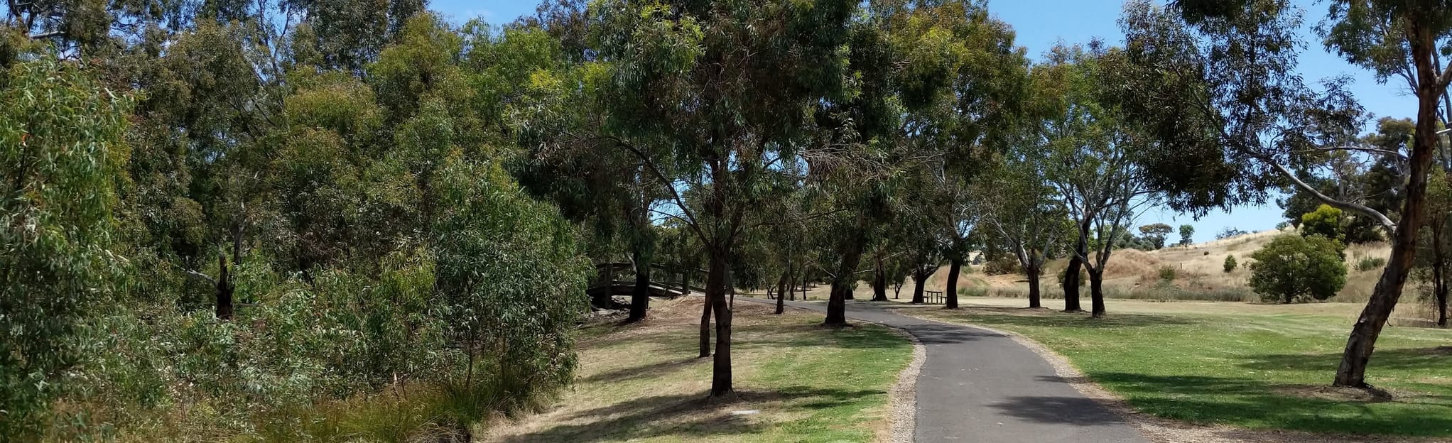 Angus River Walk 5 foto Australia Meridionale, Australia AllTrails