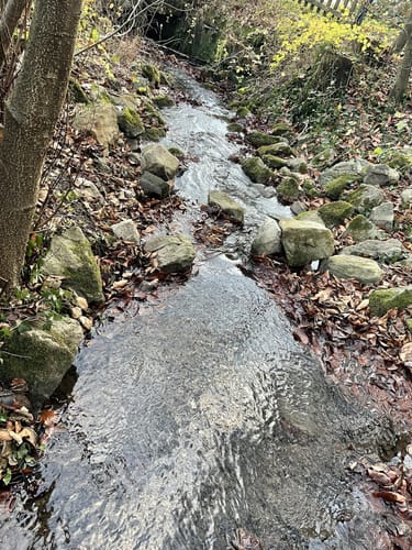 Welliehausen - Grüner Altar-Teufelskanzel Rundweg