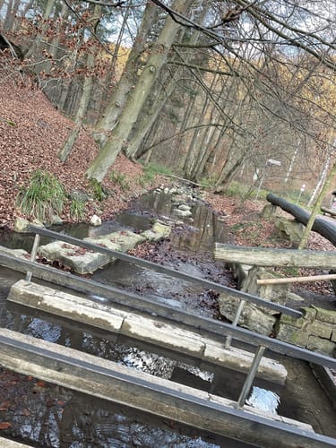 Welliehausen - Grüner Altar-Teufelskanzel Rundweg