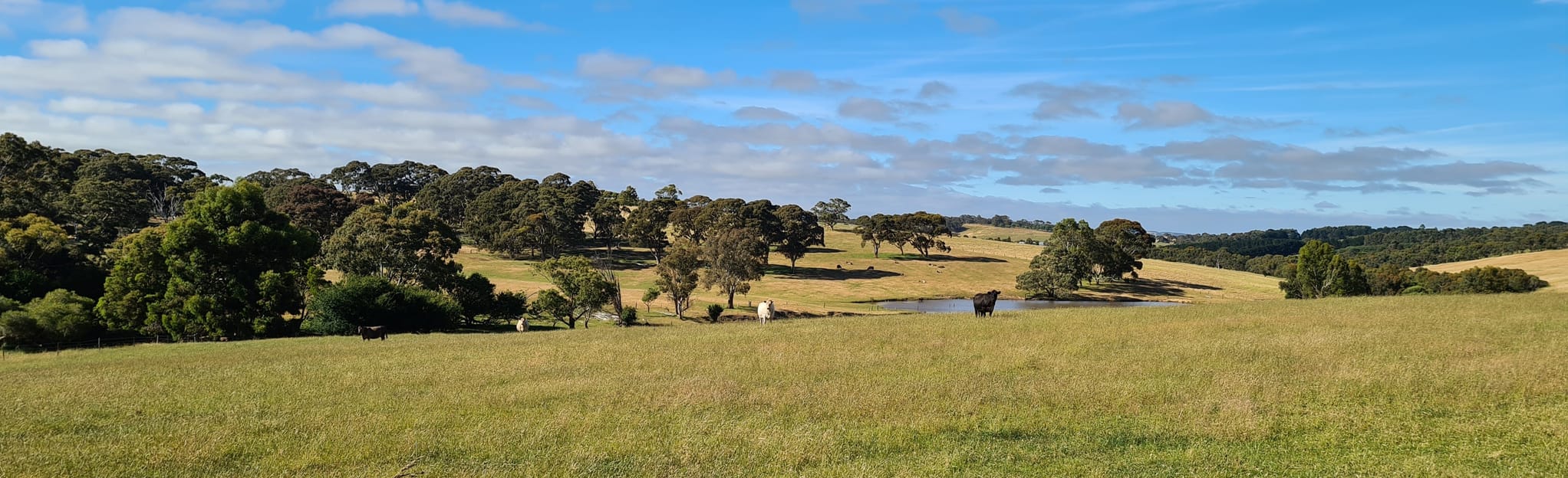 Willunga Basin Trail Willunga to Louds Hill Rd, South Australia