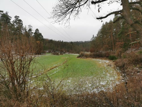 Waldrundweg in Hünstetten