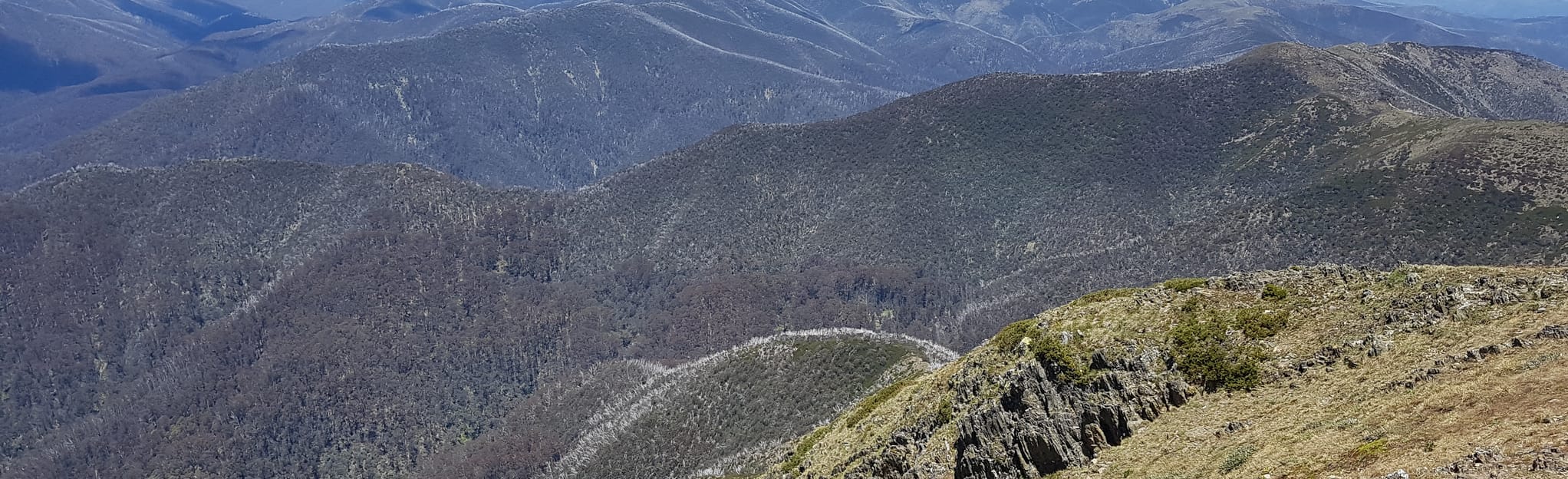 Mount Feathertop and Bogong High Plains 21 Reviews, Map Victoria