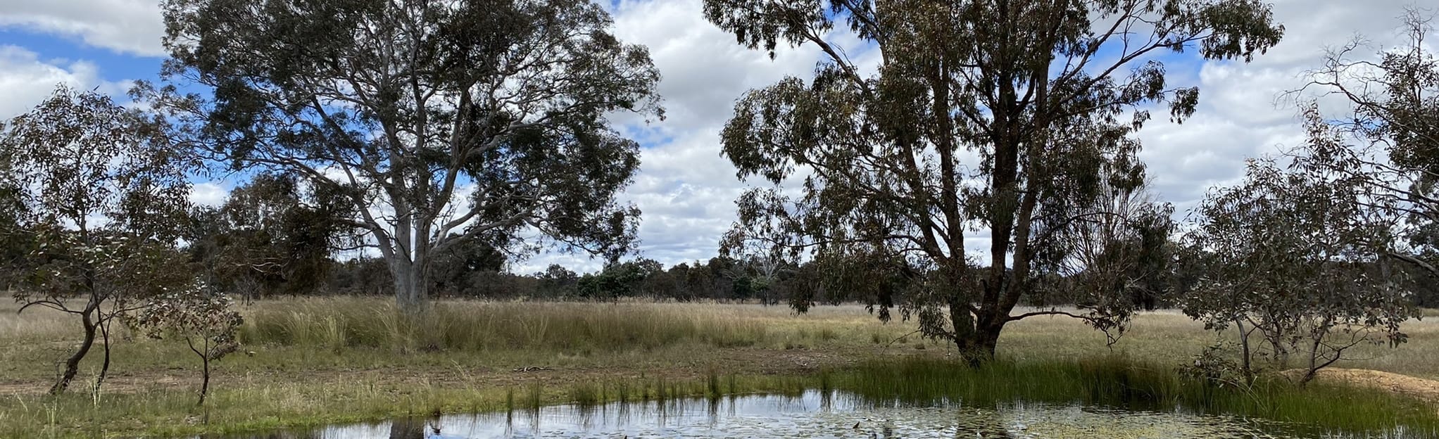 Mulligans Circuit 143 Reviews, Map Australian Capital Territory