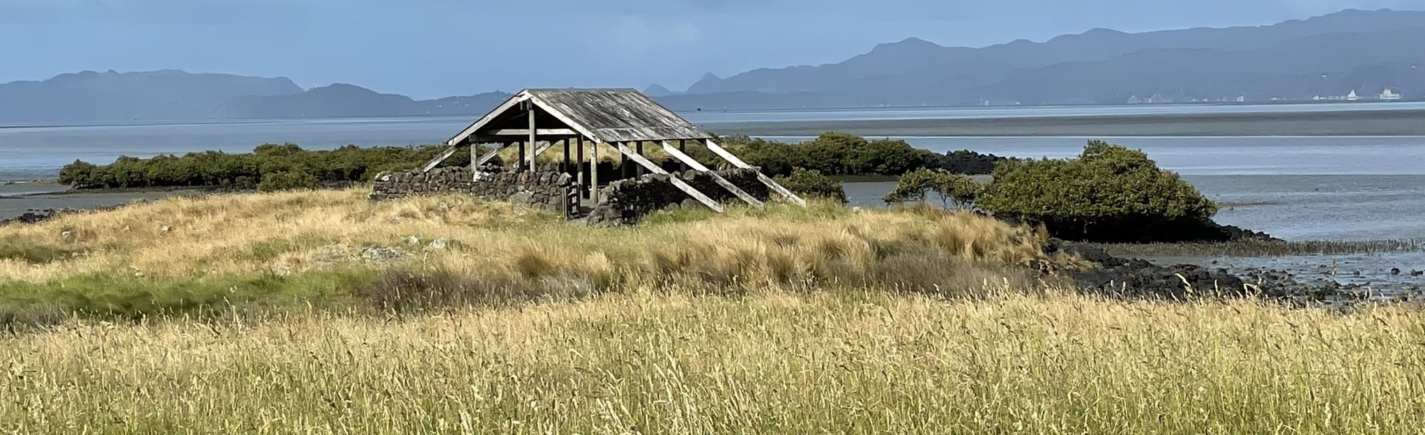 Ambury Foreshore Path, Auckland, New Zealand - 76 Reviews, Map | AllTrails