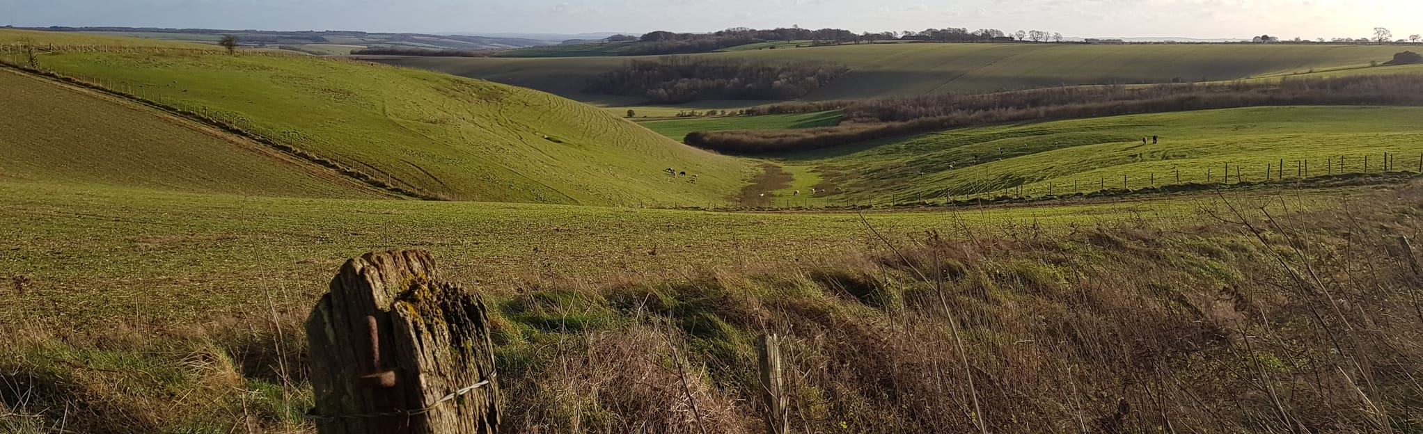 Chiseldon to Liddington Hill Circular, Wiltshire, England 11 Reviews