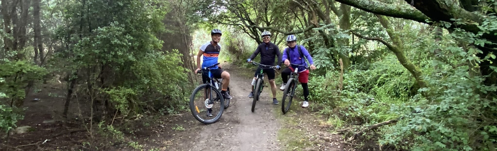 Pukete Farm Mountain Bike Park 1 foto's Waikato, New Zealand AllTrails