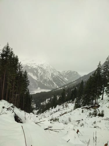 Zur Willersalpe