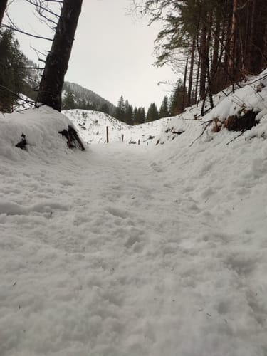 Zur Willersalpe