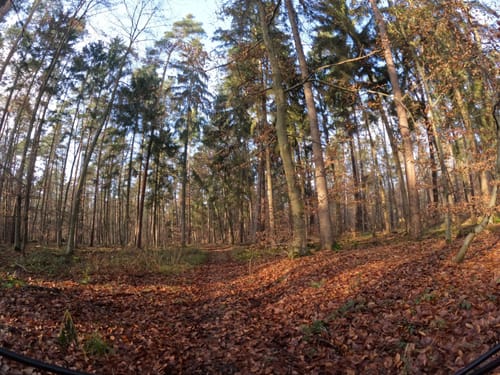 Karl Knierer Weg