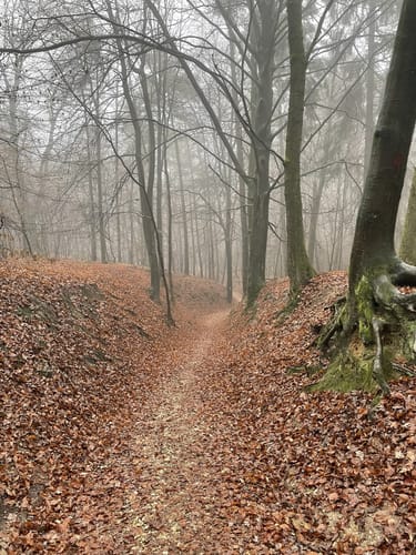 Nasses Dreieck - Brumleytal