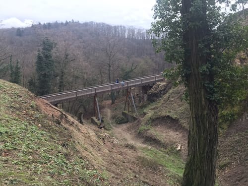 Rundwanderweg Dossenheim 3