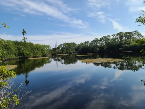 10 Best Trails and Hikes in Merritt Island | AllTrails