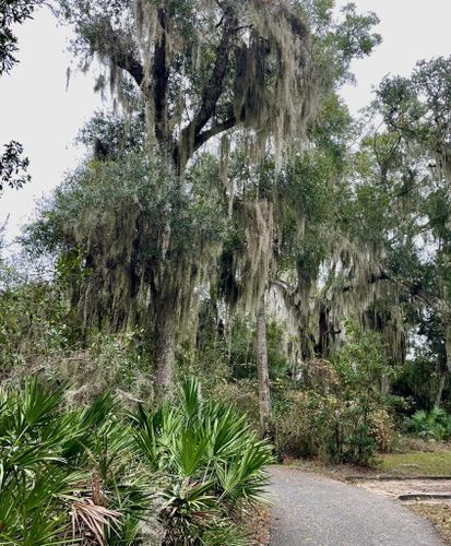 Best Hikes and Trails in Canopy Shores County Park | AllTrails