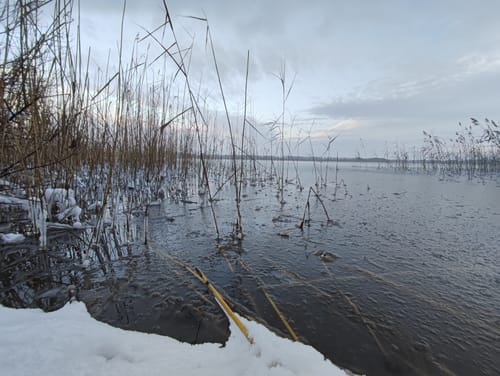 Steinhagen - Borgwallsee