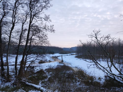 Steinhagen - Borgwallsee