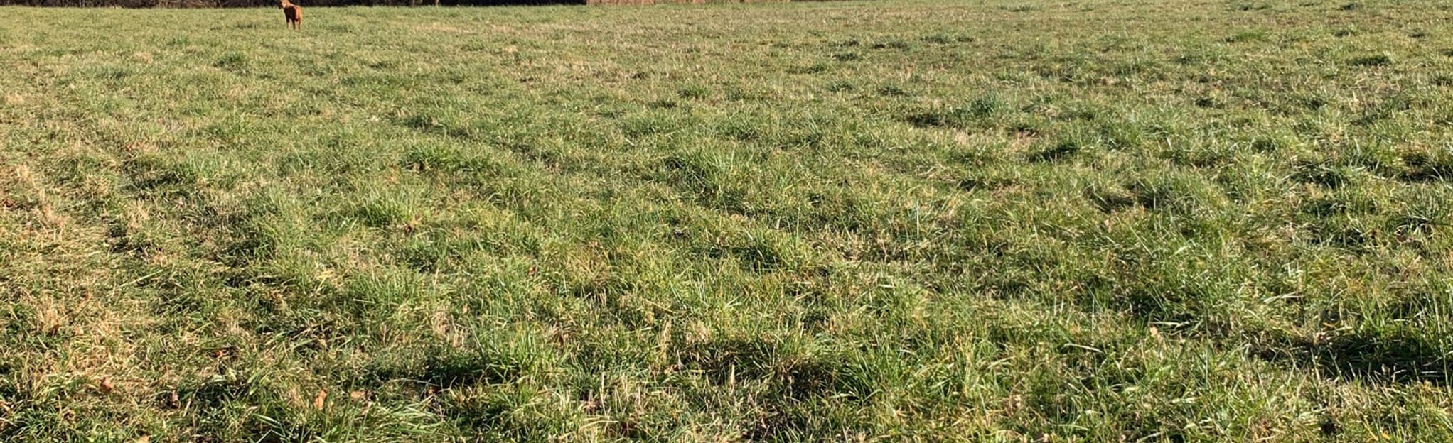 Corner Ketch, Old Cart, and Wendel Cassel Loop Delaware AllTrails