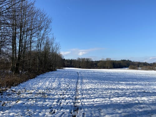 Innschleife Wasserburg