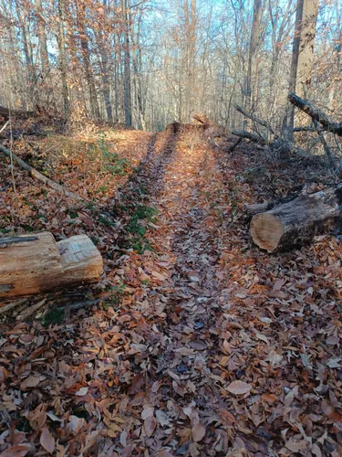 Best Hikes and Trails in 5th District Park | AllTrails