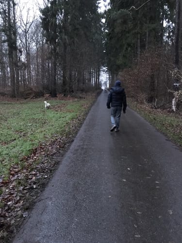 Radweg R4 Rosengarten Dibbersener Feldmark