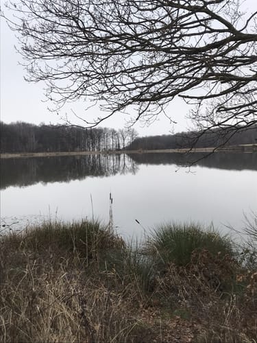 Roder Maar und Vinxbachtal