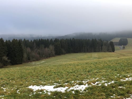 Waldcafe nach Hochemmingen