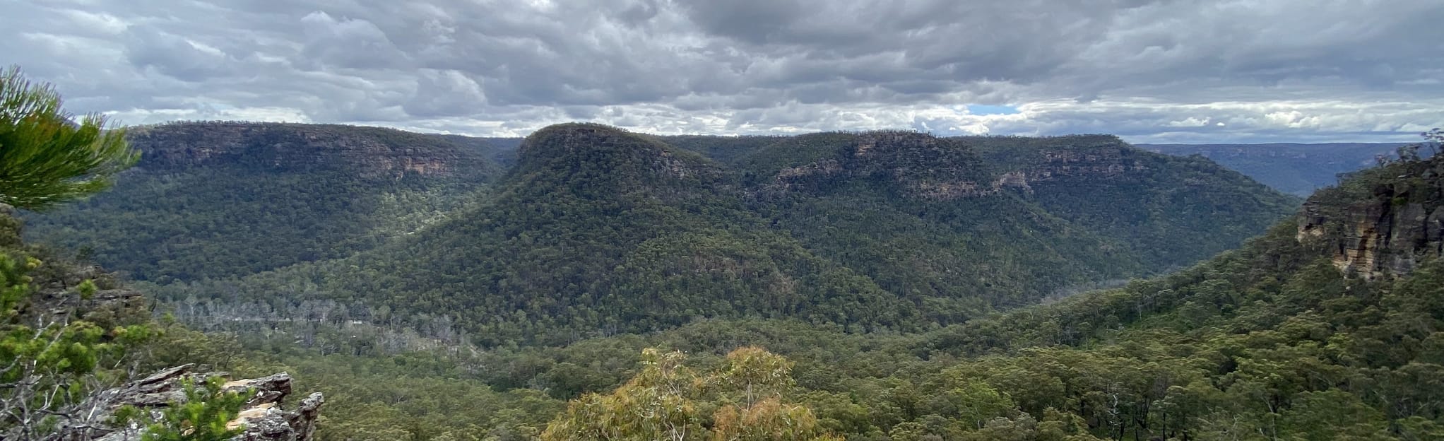 AllTrails | Russells Needle: 60 Reviews, Map - New South Wales, Australia