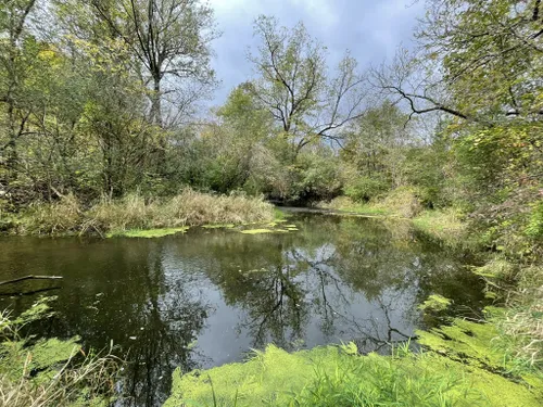 Best Hikes and Trails in Rock Cut State Park | AllTrails