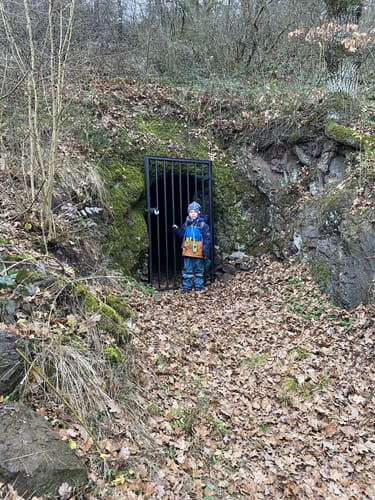 Ruine der Naumburg ab Kirnsulzbach